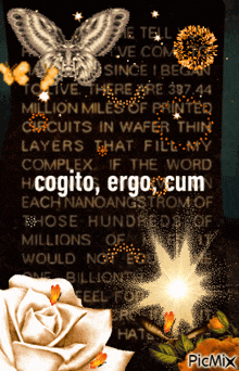 a picture of a sign that says cogito ergo cum on it