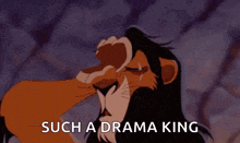 a cartoon of a lion with the words `` such a drama king '' written next to him .