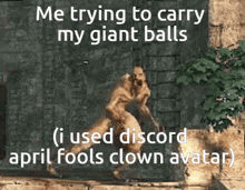 Discord April Fools GIF - Discord April Fools Clown GIFs