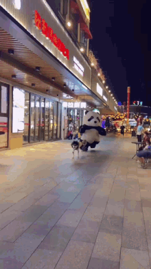 running panda