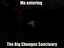 The Big Chungus Sanctruary Me Entering GIF - The Big Chungus Sanctruary Me Entering Lab Facility GIFs