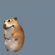 a hamster and a cartoon hamster are standing next to each other on a blue background
