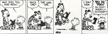 a calvin and hobbes comic strip that says what does this word mean which one that long one