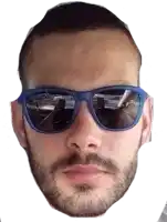 a man with a beard is wearing sunglasses and looking at the camera