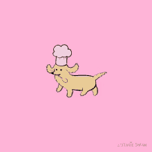 dachshund baking