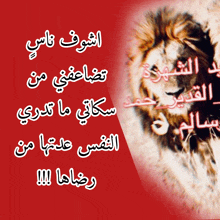 a picture of a lion with the words in arabic on it