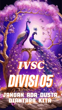 two peacocks sitting on a tree branch with the words ivsc divisi 05