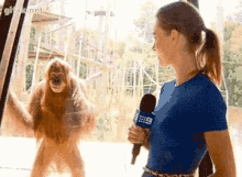 Orangutan Sleepy GIF - Orangutan Sleepy Eyeroll GIFs