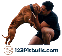 a man kneeling down with a dog and the website 123pitbulls.com in the corner