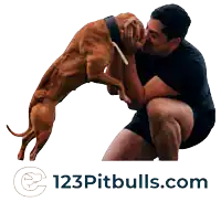 a man kneeling down with a dog and the website 123pitbulls.com in the corner