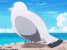 seagull bird anime smile cute