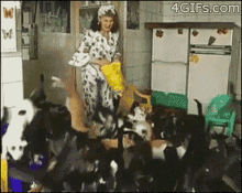 Crazy Cat Lady Feeding GIF - Crazy Cat Lady Feeding Cat Love GIFs