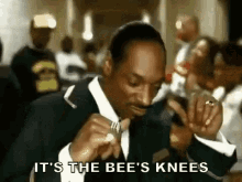It'S The Bee'S Knees GIF - Bees Knees Its The Bees Knees Snoop Dogg GIFs
