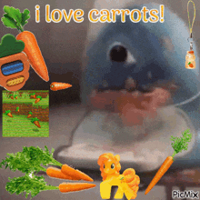 a picture that says i love carrots is surrounded by carrots and a toy pony