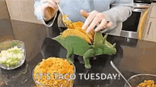 Taco Tuesday Taco Dinosaur GIF - Taco Tuesday Taco Dinosaur Tacos GIFs