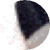 a close up of a black and white object on a white background