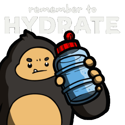 Hydrate Drink Water Sticker - Hydrate Drink Water Stay Hydrated Stickers