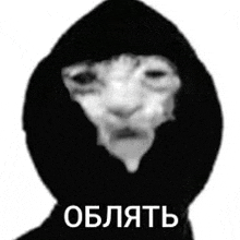 a black and white photo of a person wearing a hood and a mask .