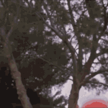 Power Rangers Time Force GIF