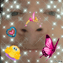 a picture of a woman 's face with a smiley face a fairy and butterflies