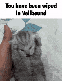 Veilbound Veilbands GIF - Veilbound Veilbands Tends GIFs