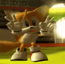 Miles Tails Prower Shadow The Hedgehog GIF - Miles Tails Prower Shadow The Hedgehog Sonic GIFs