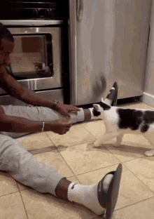 Cat Training Trained GIF - Cat Training Trained Cat GIFs