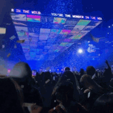 Hillsong United Youre The Wonder In The Wild GIF - Hillsong United Youre The Wonder In The Wild Party GIFs