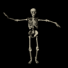 Skeleton Dancing GIF - Skeleton Dancing Silly GIFs