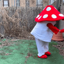 dance moves doubleblind mushroom dancing grooving