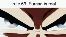Furcan Rule GIF - Furcan Rule Goku Ultra Instinct GIFs
