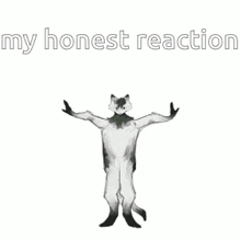 a black and white drawing of a fox dancing with the words `` my honest reaction '' above it .