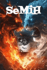 a poster with a lion and a man with the word semih on it