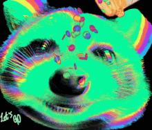 Raccoon Trippy GIF - Raccoon Trippy Party GIFs
