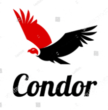 Condor GIF
