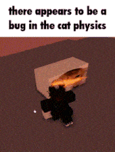 there appears to be a bug in the cat physics written on a screen