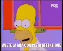 Avete La Mia Completa Attenzione Homer Simpson GIF - Avete La Mia Completa Attenzione Homer Simpson Simpson GIFs