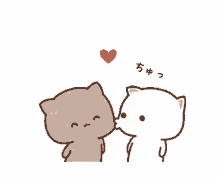 kiss cat