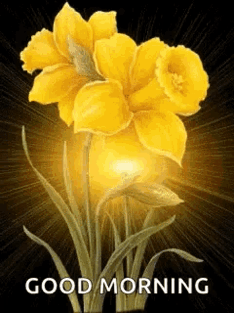 Yellow Flowers Good Morning GIF - Yellow Flowers Good Morning - Discover &  Share GIFs