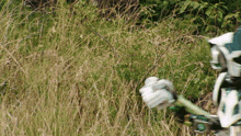 a person wearing white gloves is standing in the grass