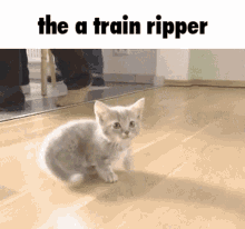 A Train Ripper Cat GIF - A Train Ripper Cat GIFs
