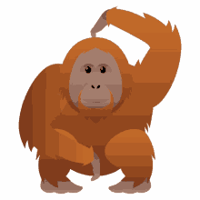 orangutan nature joypixels orange haired ape endangered
