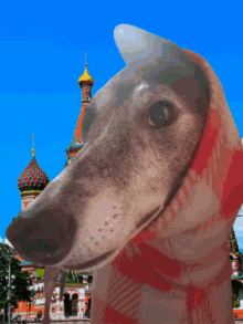 Greyhound Worldtraveler GIF