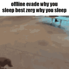 Why You Sleep Best Zerg GIF - Why You Sleep Best Zerg GIFs