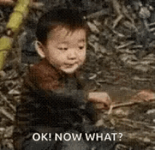 Kid Now What GIF - Kid Now What Asian GIFs