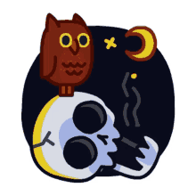 night quiet owl skull skeleton
