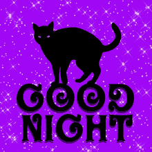 Good Night Purple GIF