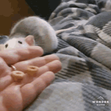 Rat Pet GIF