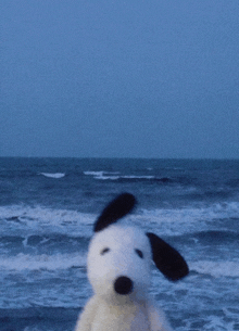a stuffed snoopy dog is standing on the beach with the ocean in the background