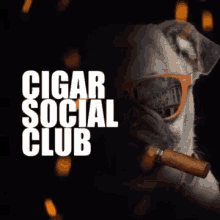 Csc Cigar Social Club GIF - Csc Cigar Social Club Csch GIFs